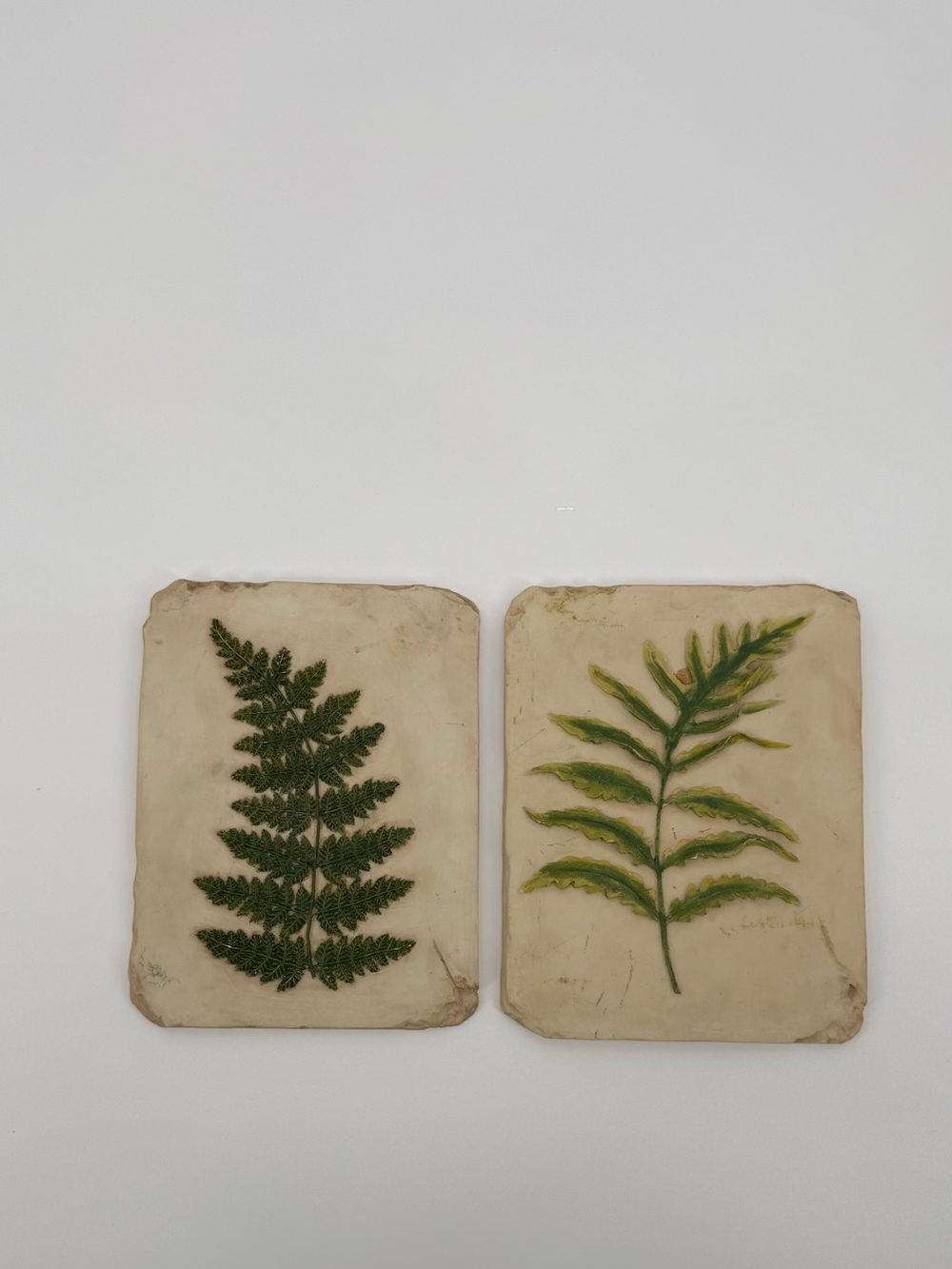 Vintage Beige Botanical Fern Reliefs with Green Accents